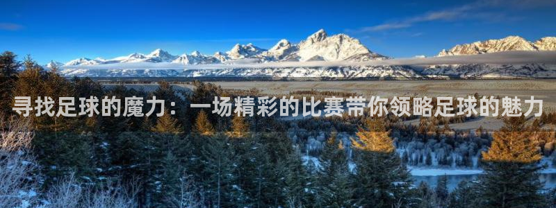 寻找足球的魔力：一场精彩的比赛带你领略足球的魅力