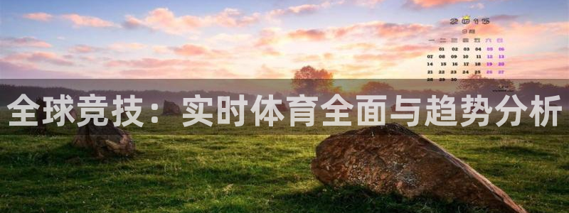 全球竞技：实时体育全面与趋势分析