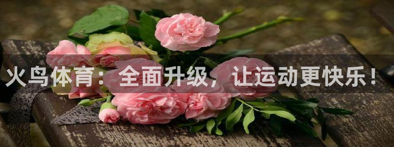 火鸟体育：全面升级，让运动更快乐！