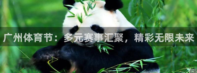 足球比分网捷报手机足