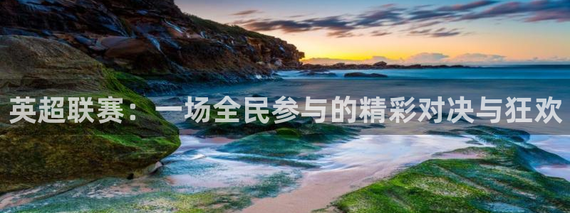 球探比分足球即时比分新版捷报：英超联赛：一场全民参与的精彩对决与狂欢