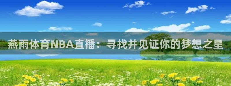 篮球比分捷报比分网：燕雨体育NBA直播：寻找并见证你的梦想之星