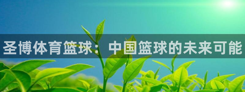 捷报即时比分足球：圣博体育篮球：中国篮球的未来可能