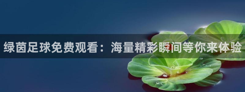 球探捷报比分啊：绿茵足球免费观看：海量精彩瞬间等你来体验
